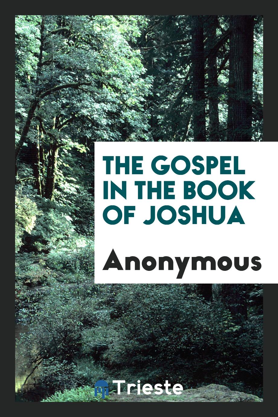 The Gospel in the Book of Joshua
