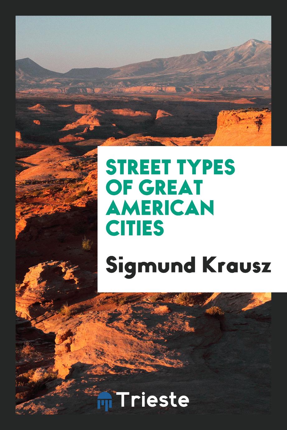 Street types of great American cities