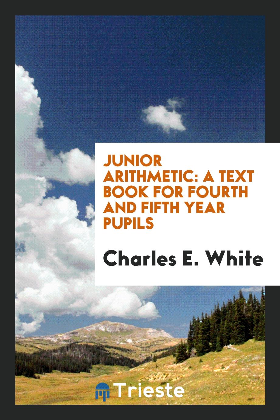 Junior Arithmetic: A Text Book for Fourth and Fifth Year Pupils