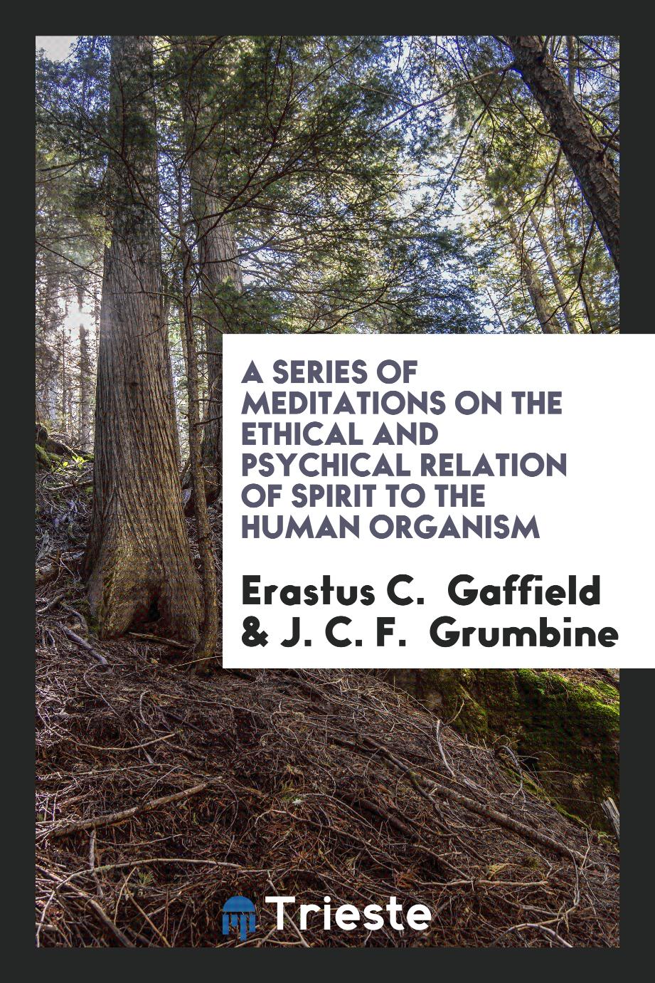 A Series of Meditations on the Ethical and Psychical Relation of Spirit to the Human Organism