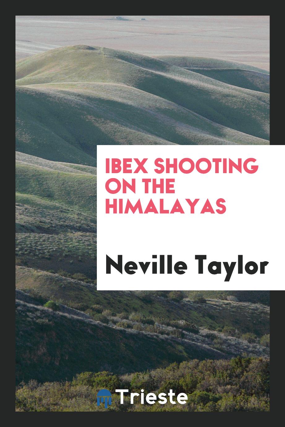 Ibex Shooting on the Himalayas