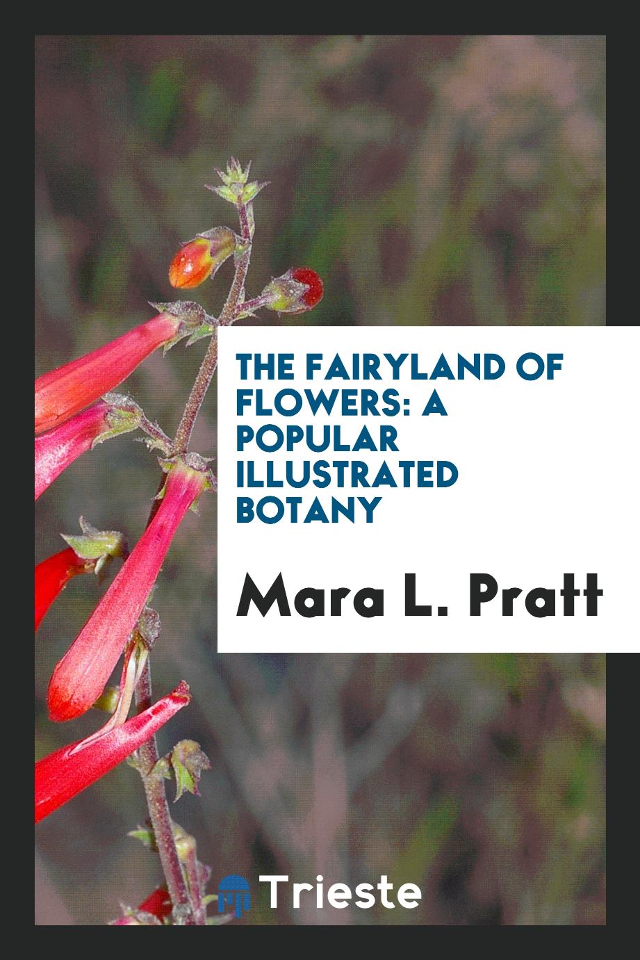 The Fairyland of Flowers: A Popular Illustrated Botany