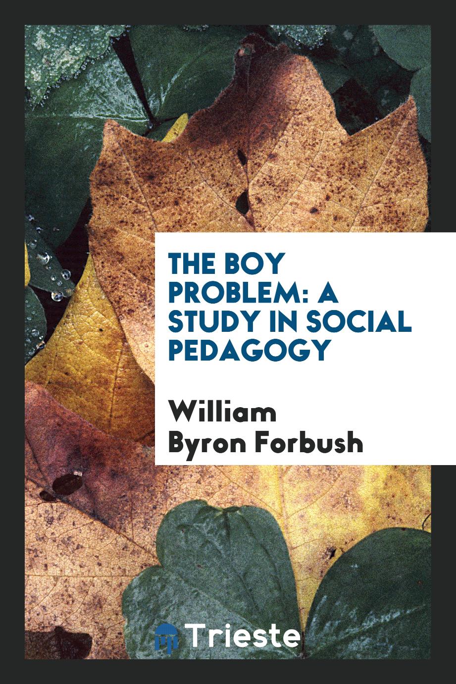 The boy problem: a study in social pedagogy