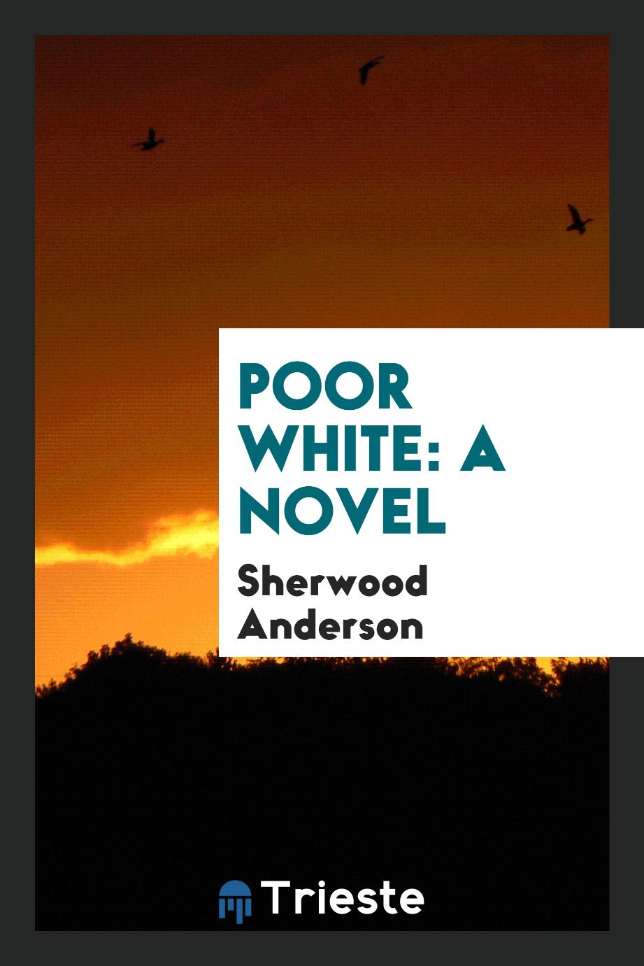 Poor White: A Novel