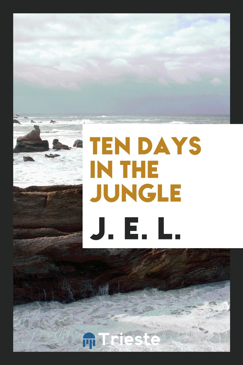 Ten days in the jungle
