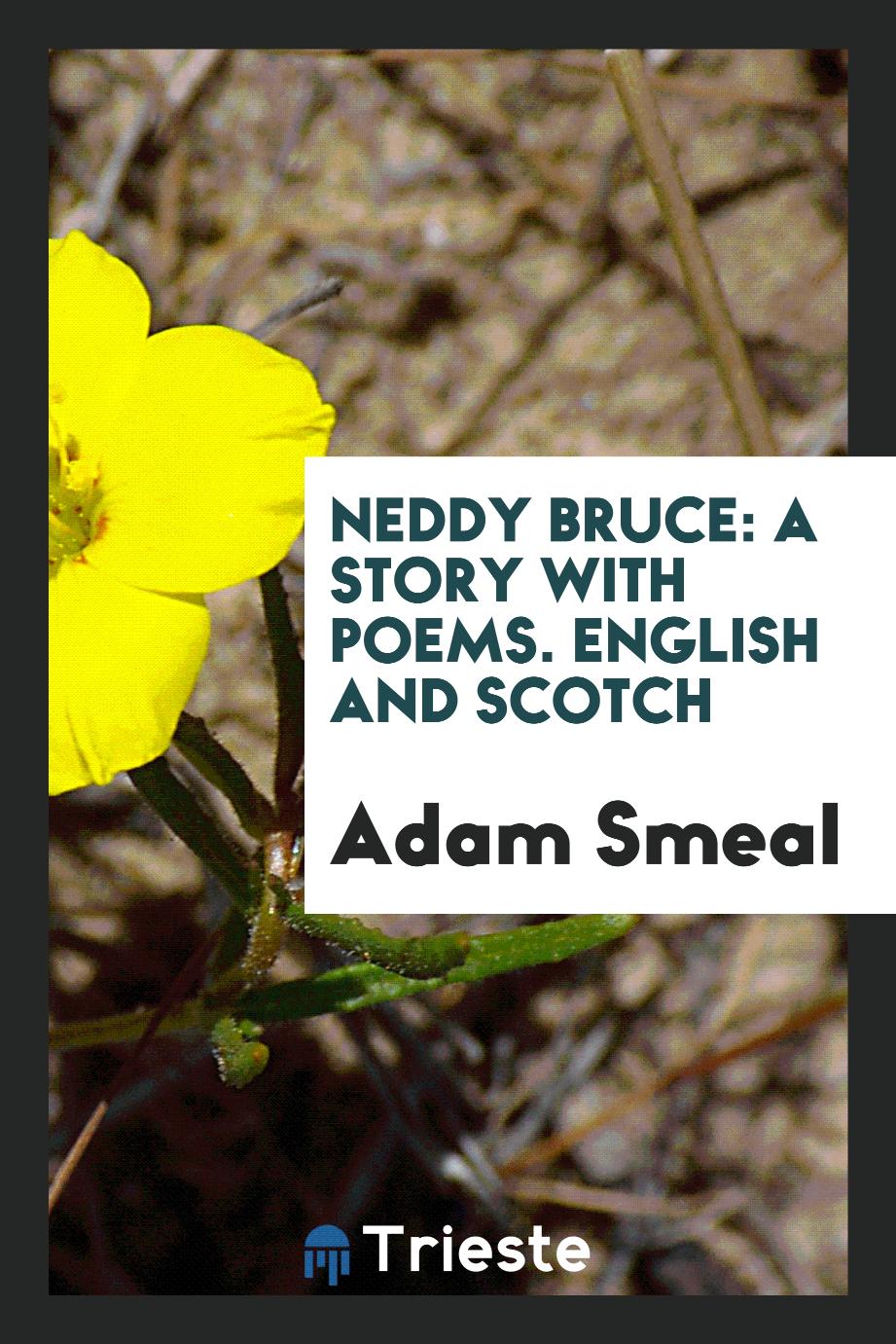 Neddy Bruce: A Story with Poems. English and Scotch
