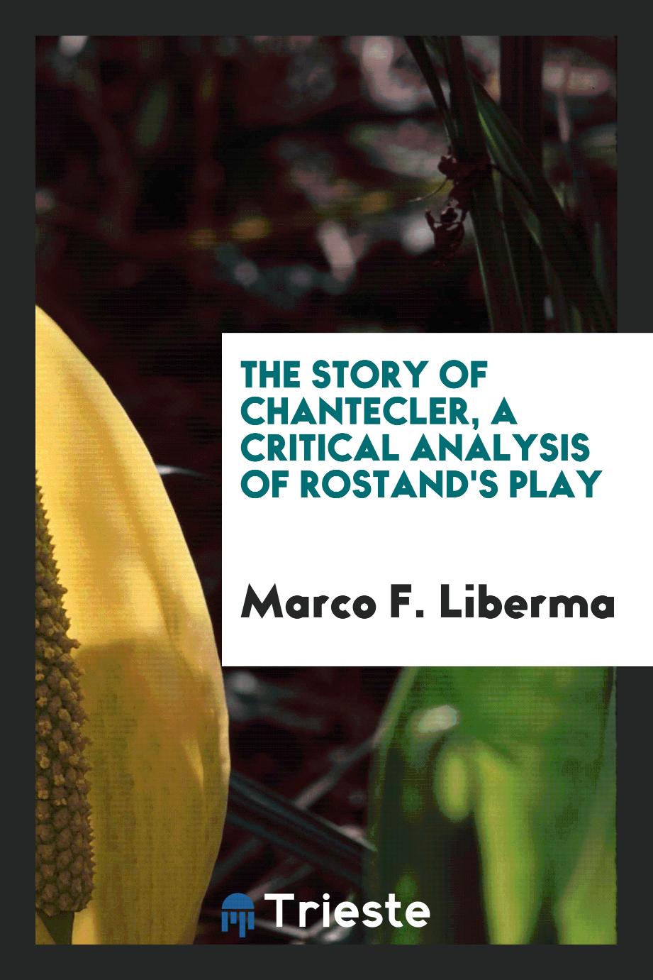 The Story of Chantecler, a Critical Analysis of Rostand's Play