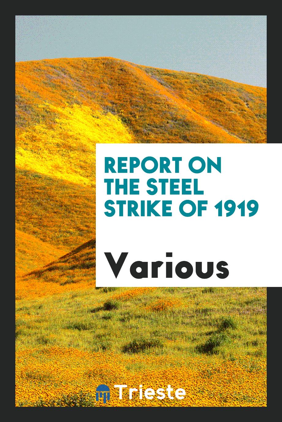 Report on the steel strike of 1919
