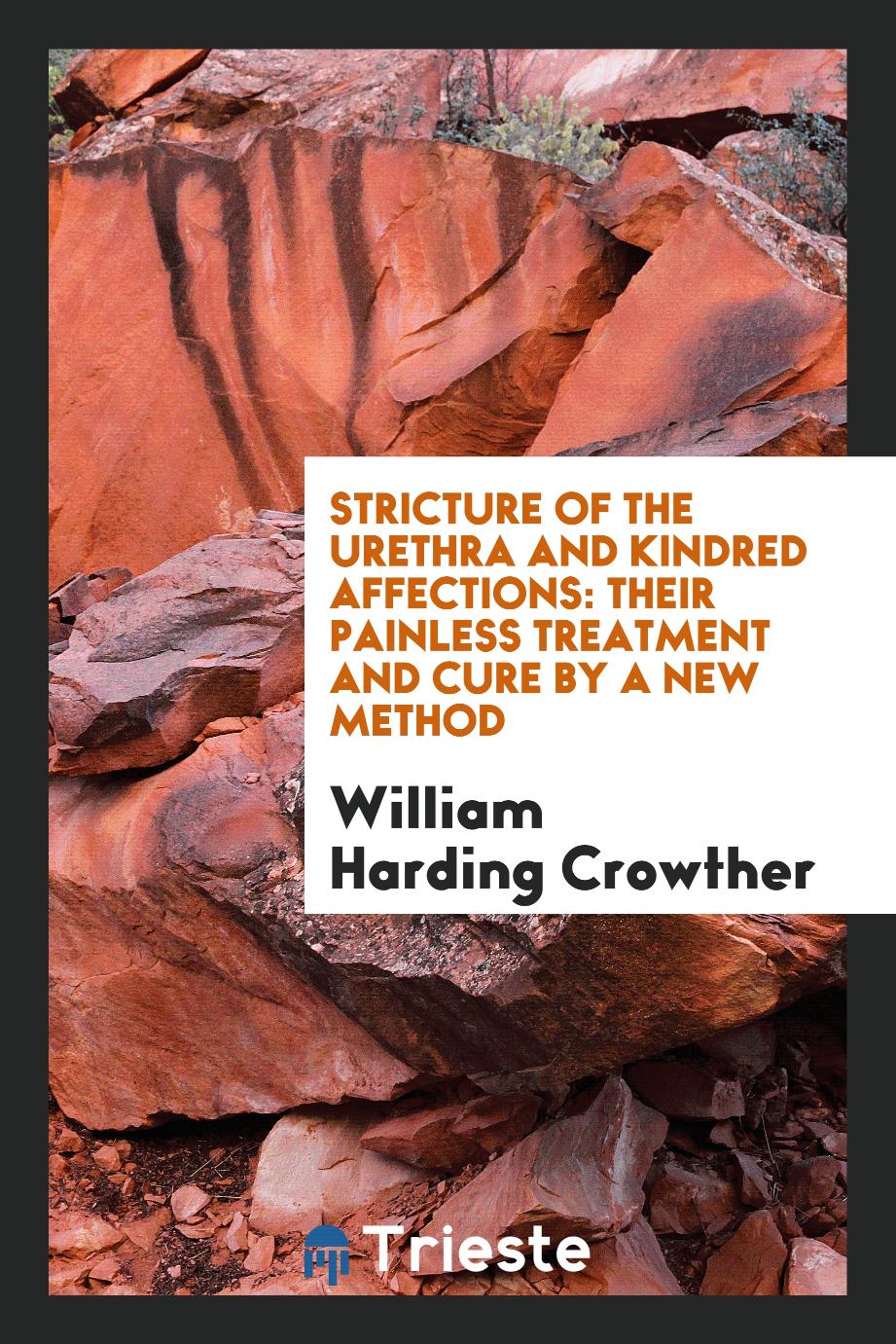 Stricture of the Urethra and Kindred Affections: Their Painless Treatment and Cure by a New Method