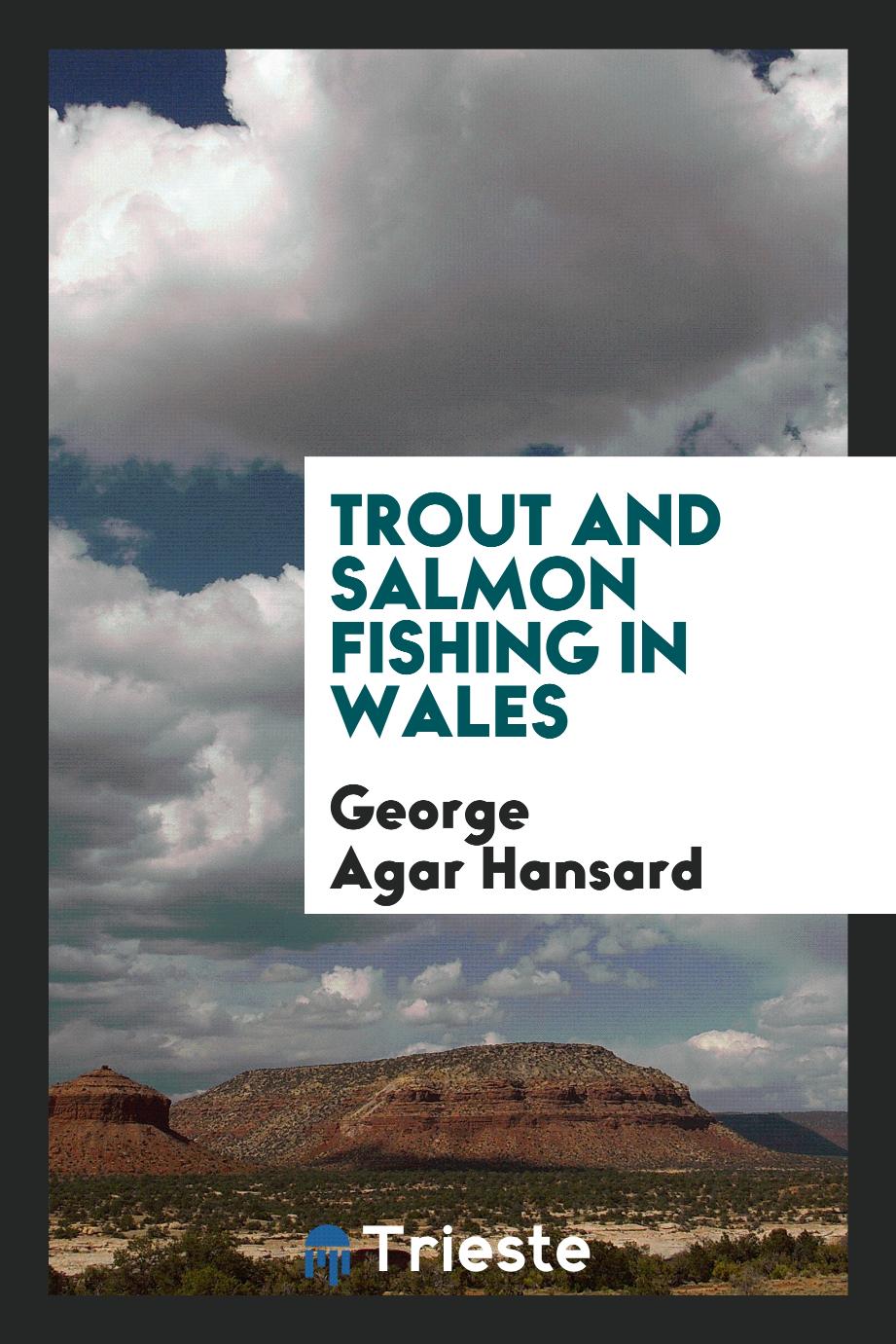 Trout and salmon fishing in Wales