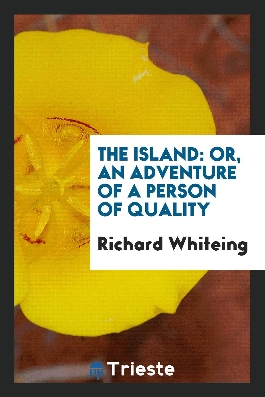 The Island: Or, An Adventure of a Person of Quality