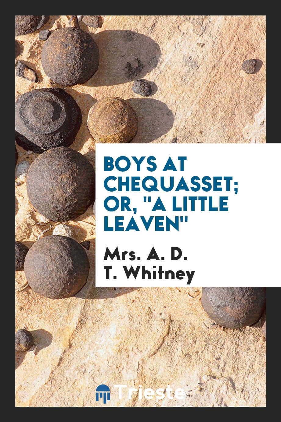 Boys at Chequasset; Or, "A Little Leaven"