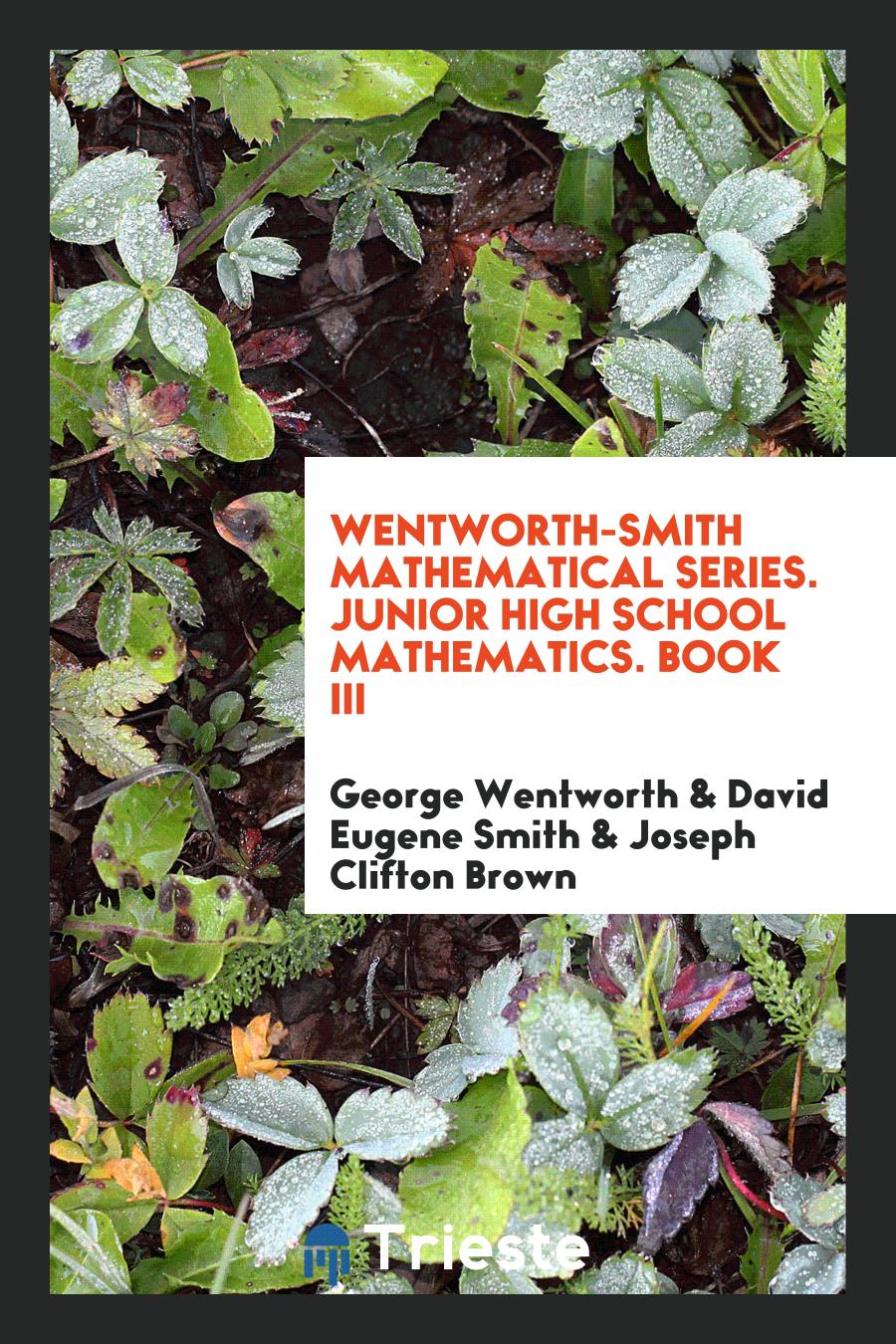 Wentworth-Smith Mathematical Series. Junior High School Mathematics. Book III