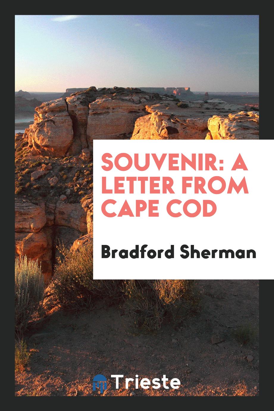 Souvenir: A Letter from Cape Cod