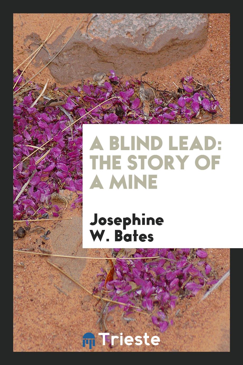 A Blind Lead: The Story of a Mine