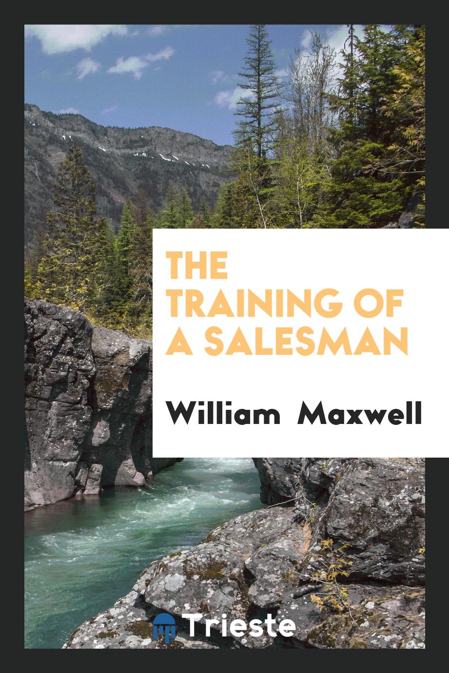 The training of a salesman
