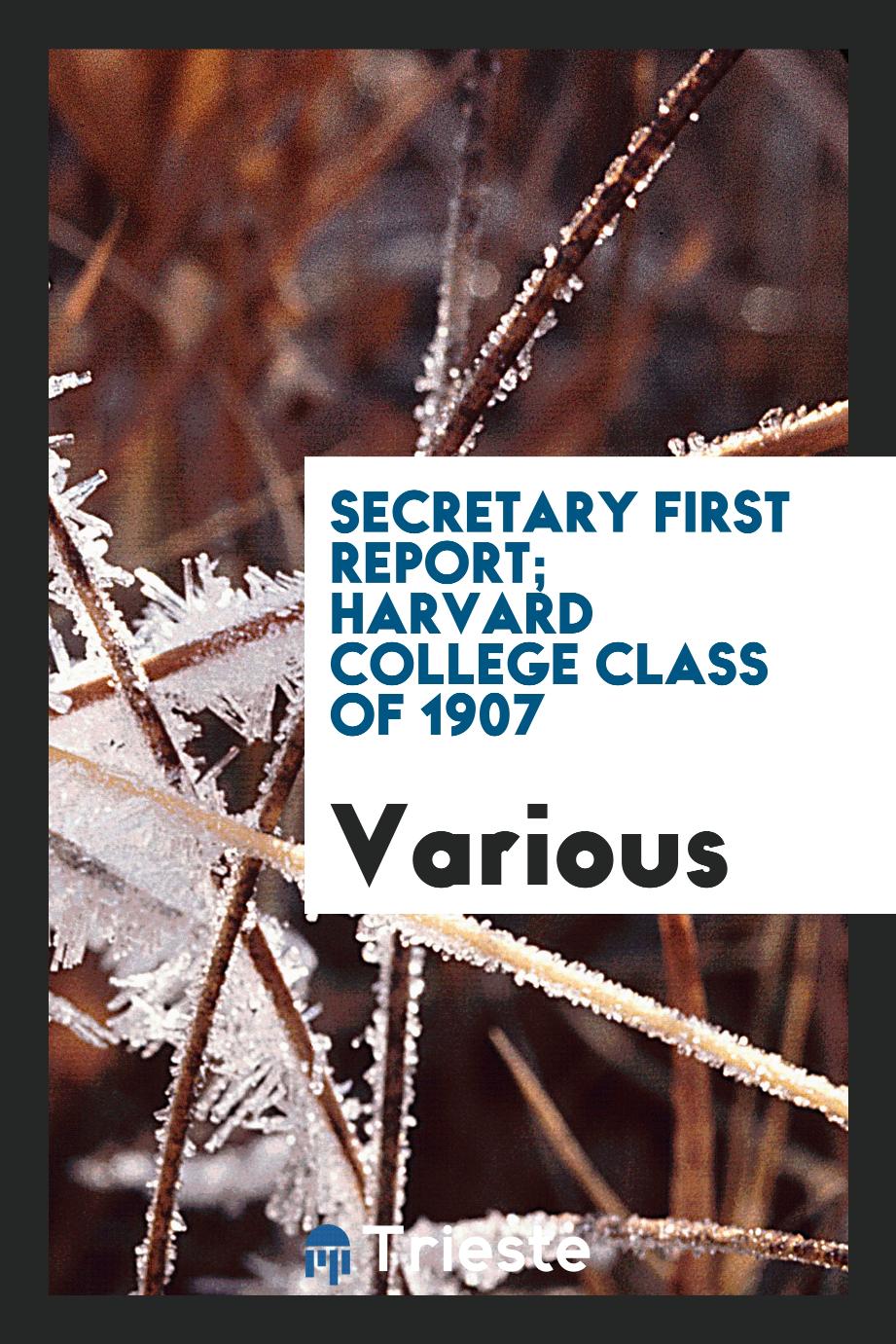 Secretary First report; Harvard College class of 1907