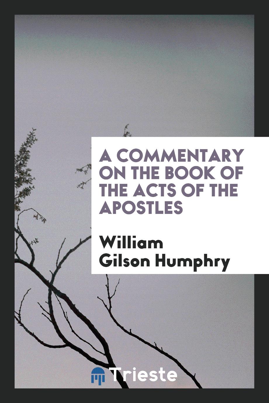 A Commentary on the Book of the Acts of the Apostles