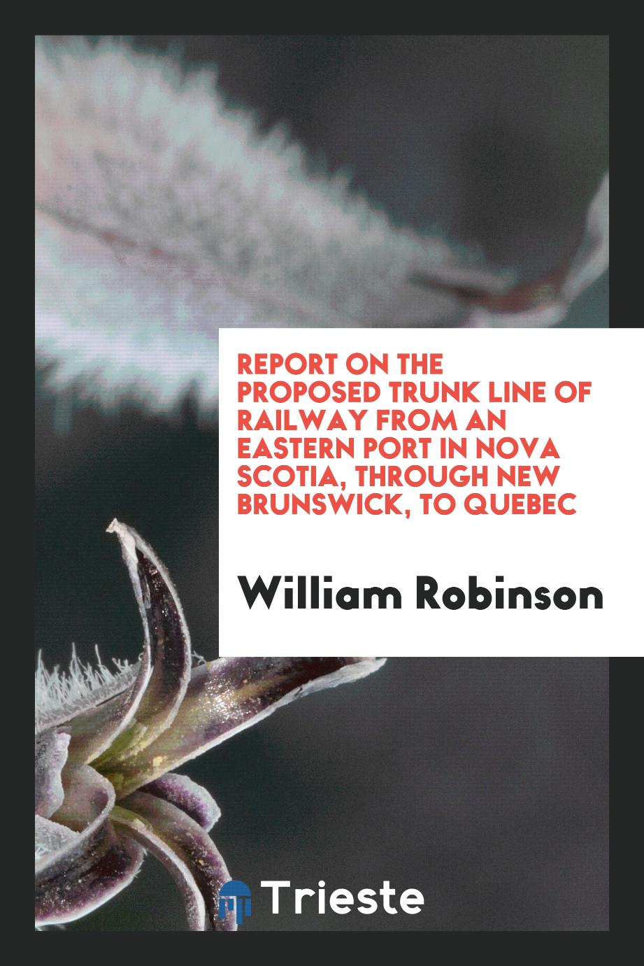 Report on the proposed trunk line of railway from an eastern port in Nova Scotia, through New Brunswick, to Quebec