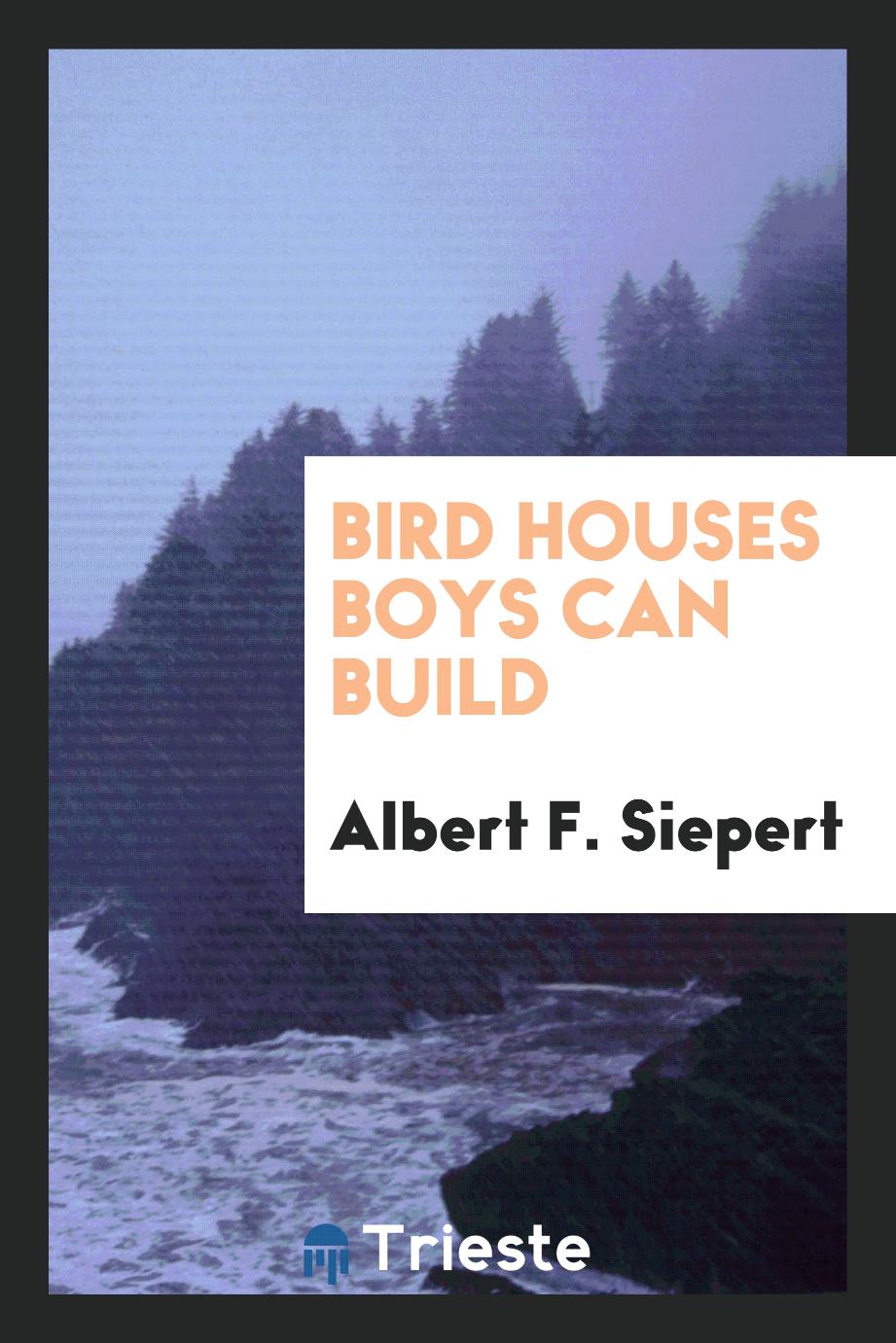 Bird Houses Boys Can Build