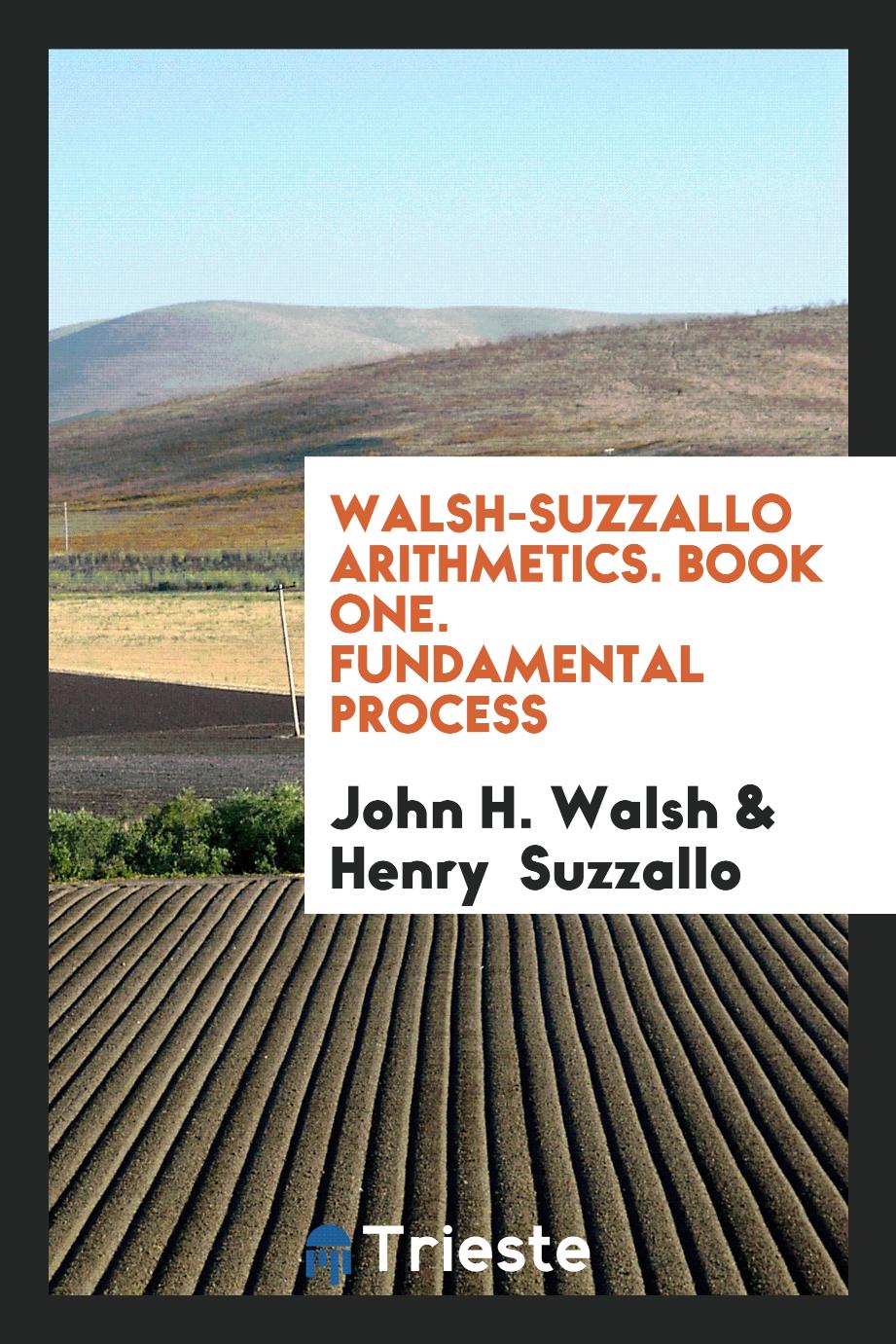 Walsh-Suzzallo Arithmetics. Book One. Fundamental Process