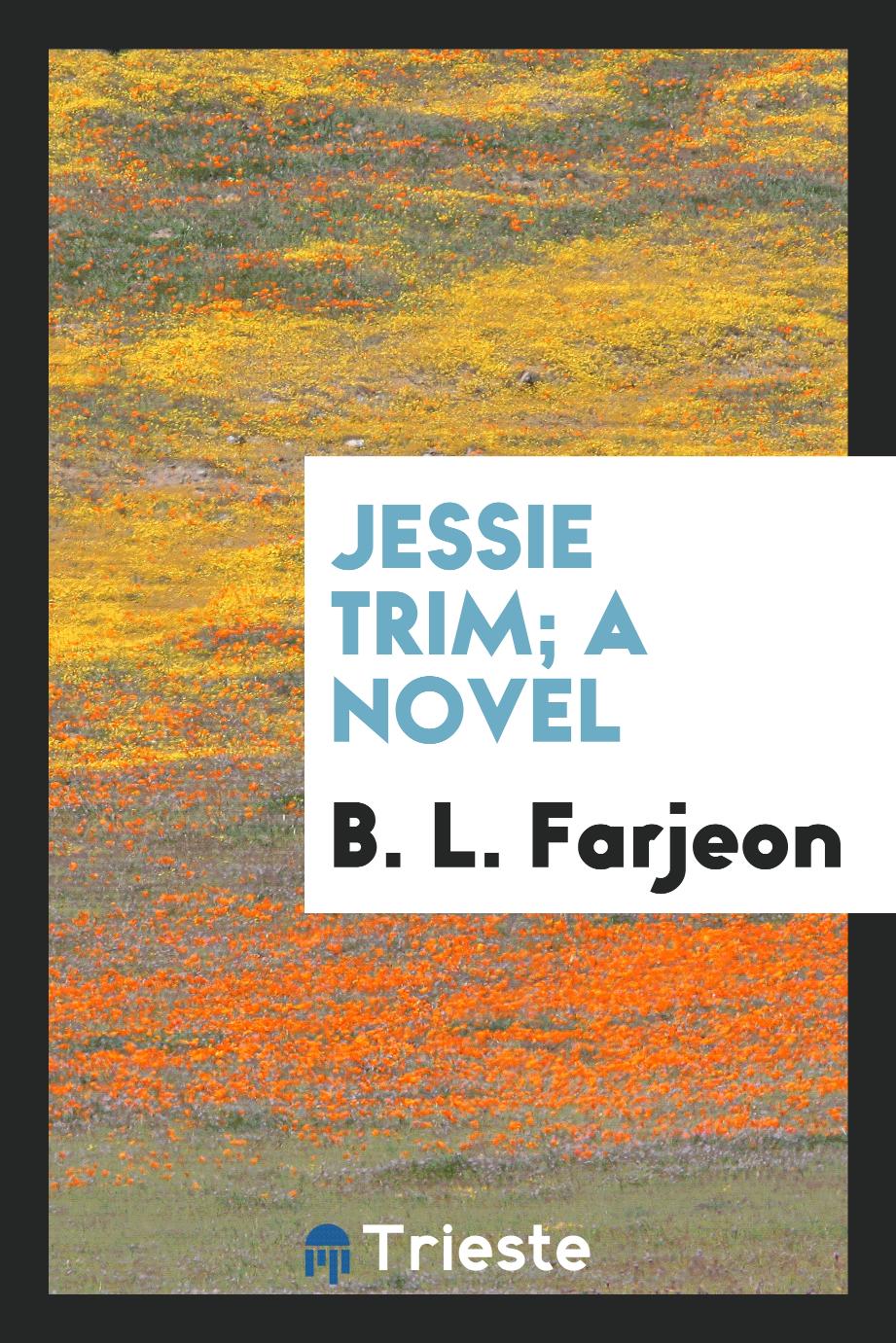Jessie Trim; a novel