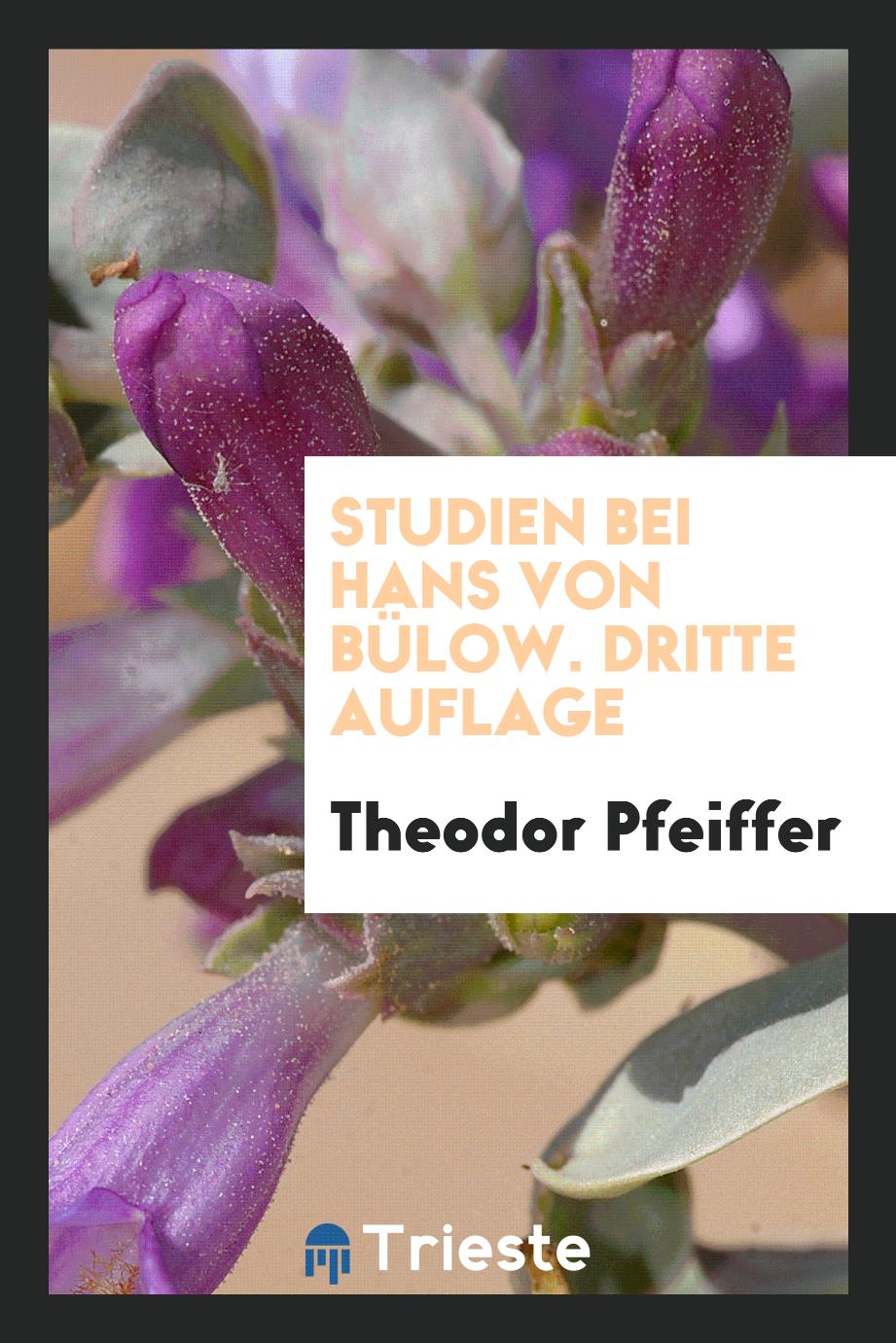 Theodor Pfeiffer - Studien bei Hans von Bülow. Dritte Auflage