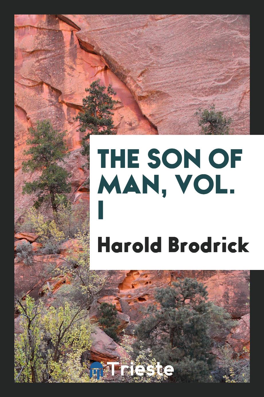 The Son of Man, Vol. I