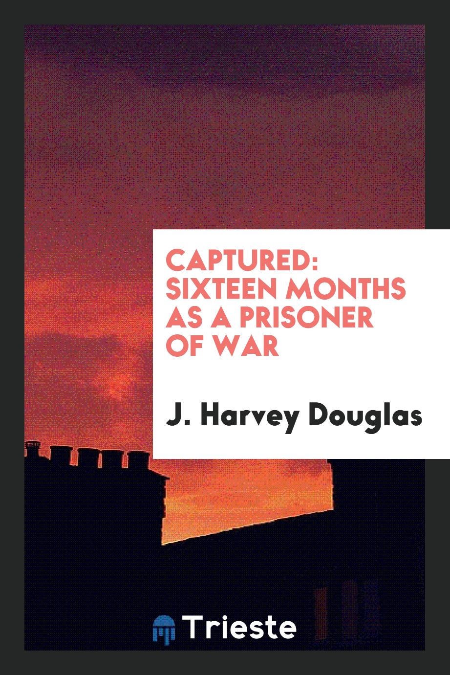 Captured: Sixteen Months as a Prisoner of War
