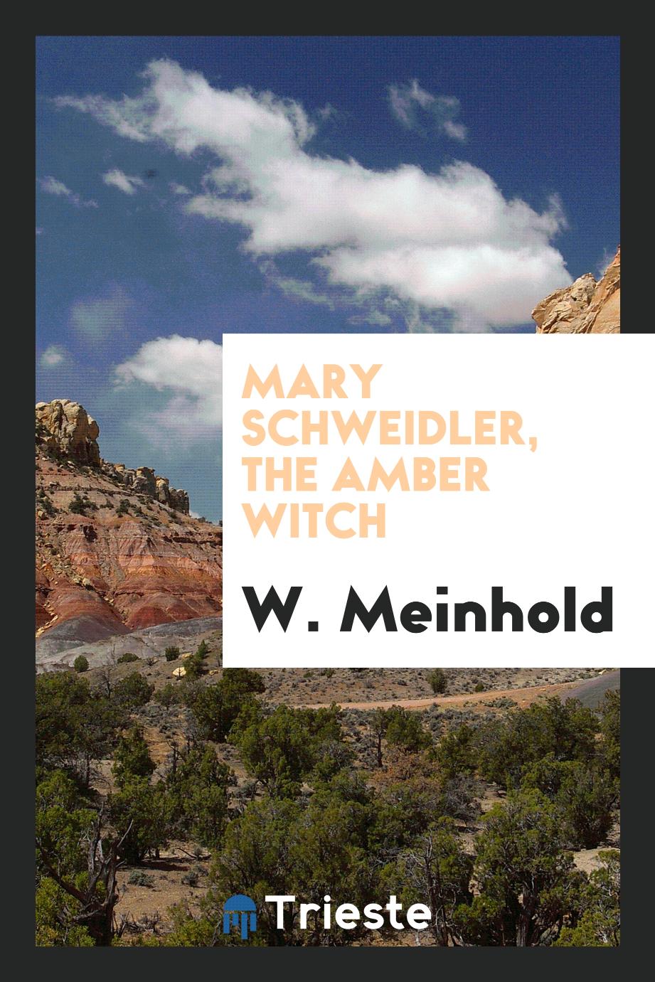 Mary Schweidler, the amber witch