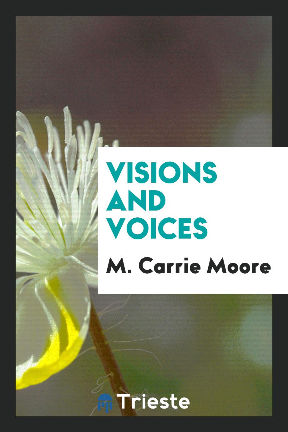 Visions and Voices