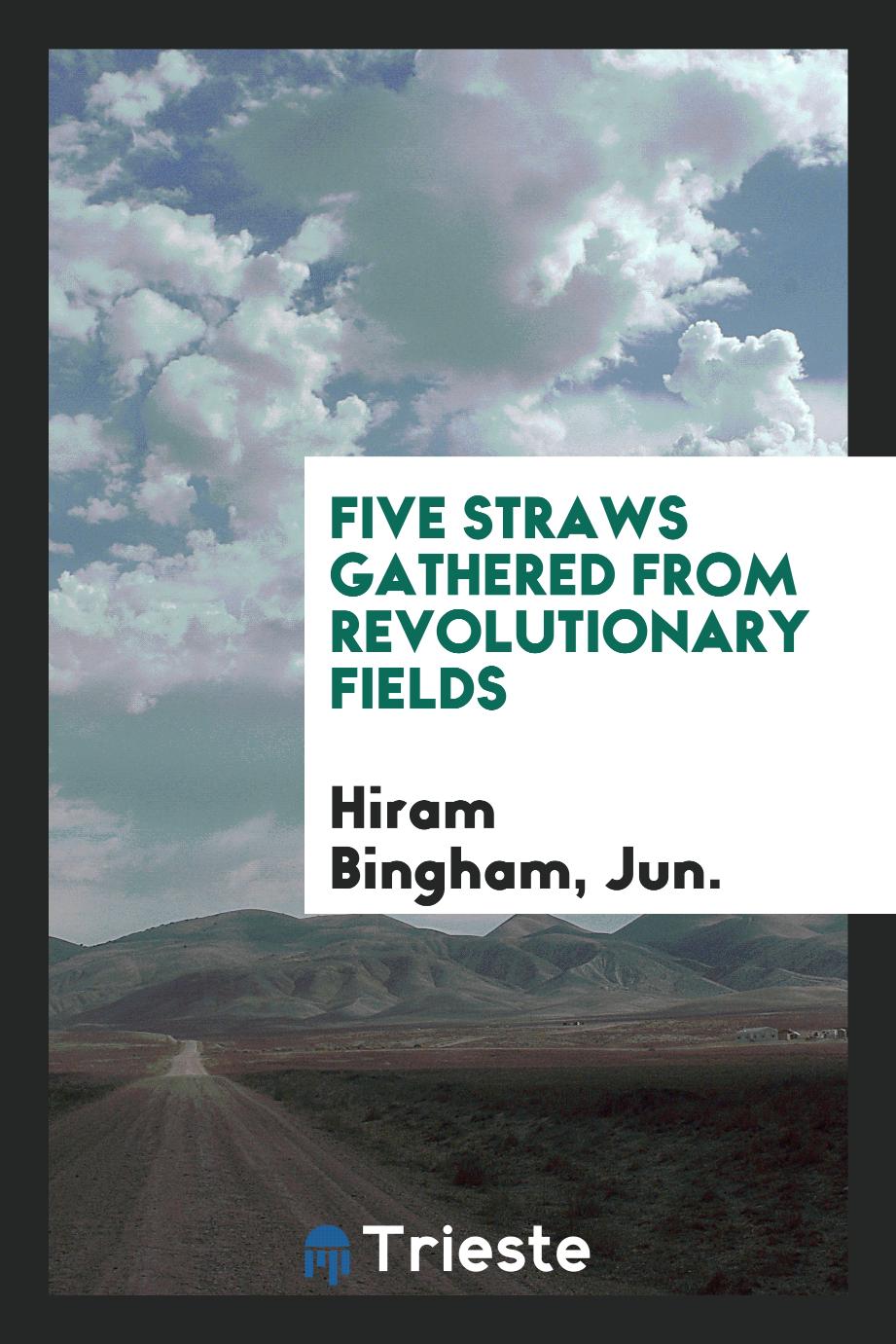 Five Straws Gathered from Revolutionary Fields