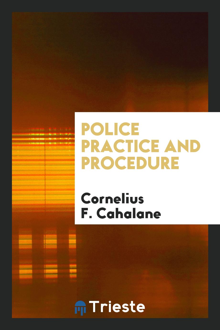 Police practice and procedure