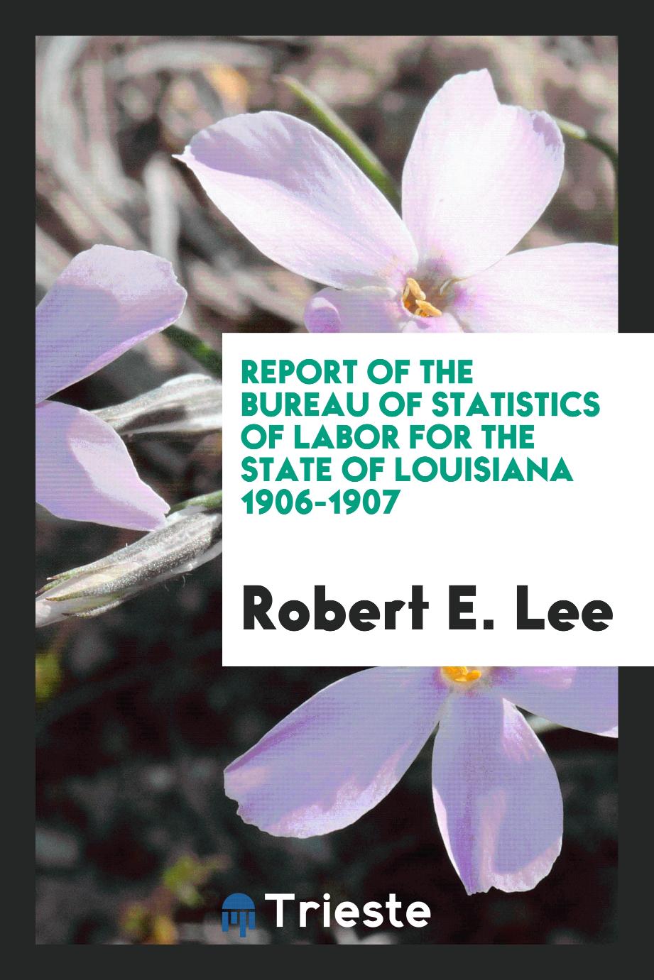 Report of the Bureau of Statistics of Labor for the State of Louisiana 1906-1907