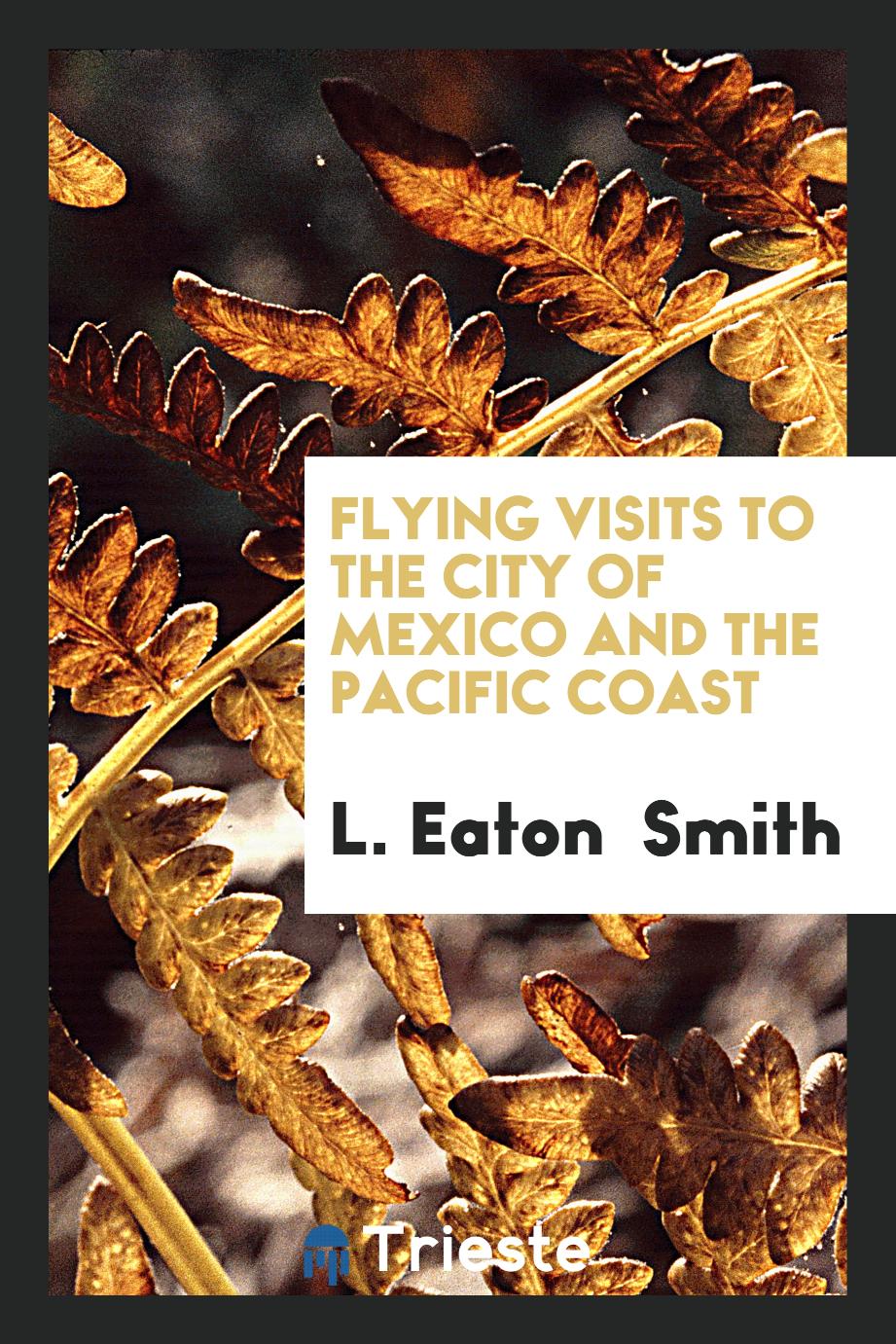 Flying Visits to the City of Mexico and the Pacific Coast