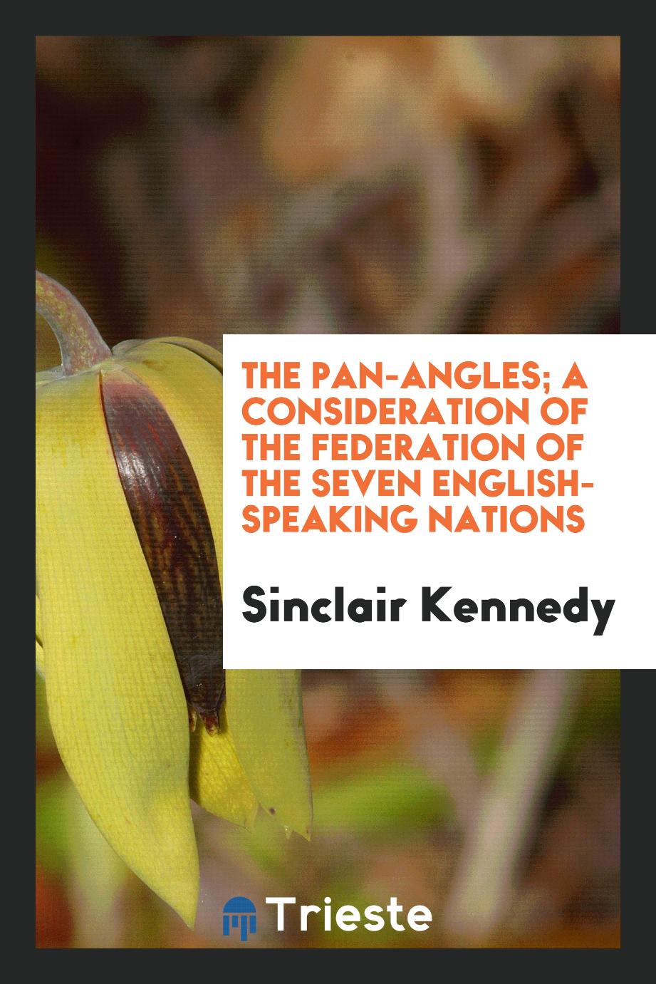 The Pan-Angles; A Consideration of the Federation of the Seven English-Speaking Nations