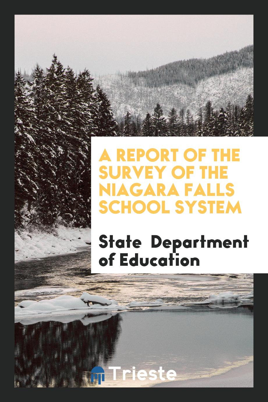 A Report of the Survey of the Niagara Falls School System
