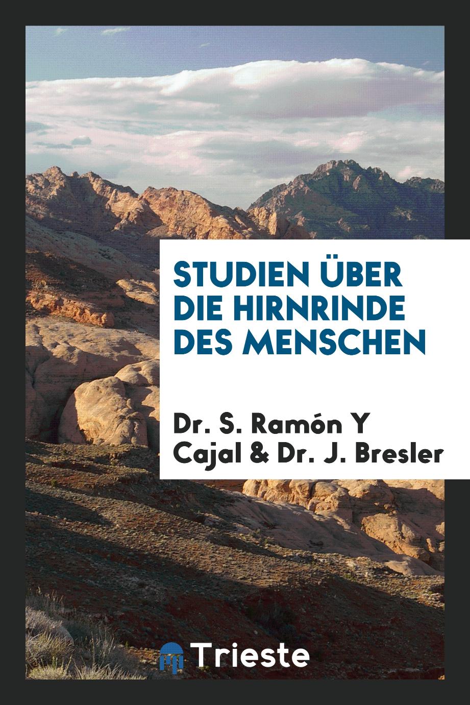 Dr. S. Ramón Y Cajal, Dr. J. Bresler - Studien über die Hirnrinde des Menschen
