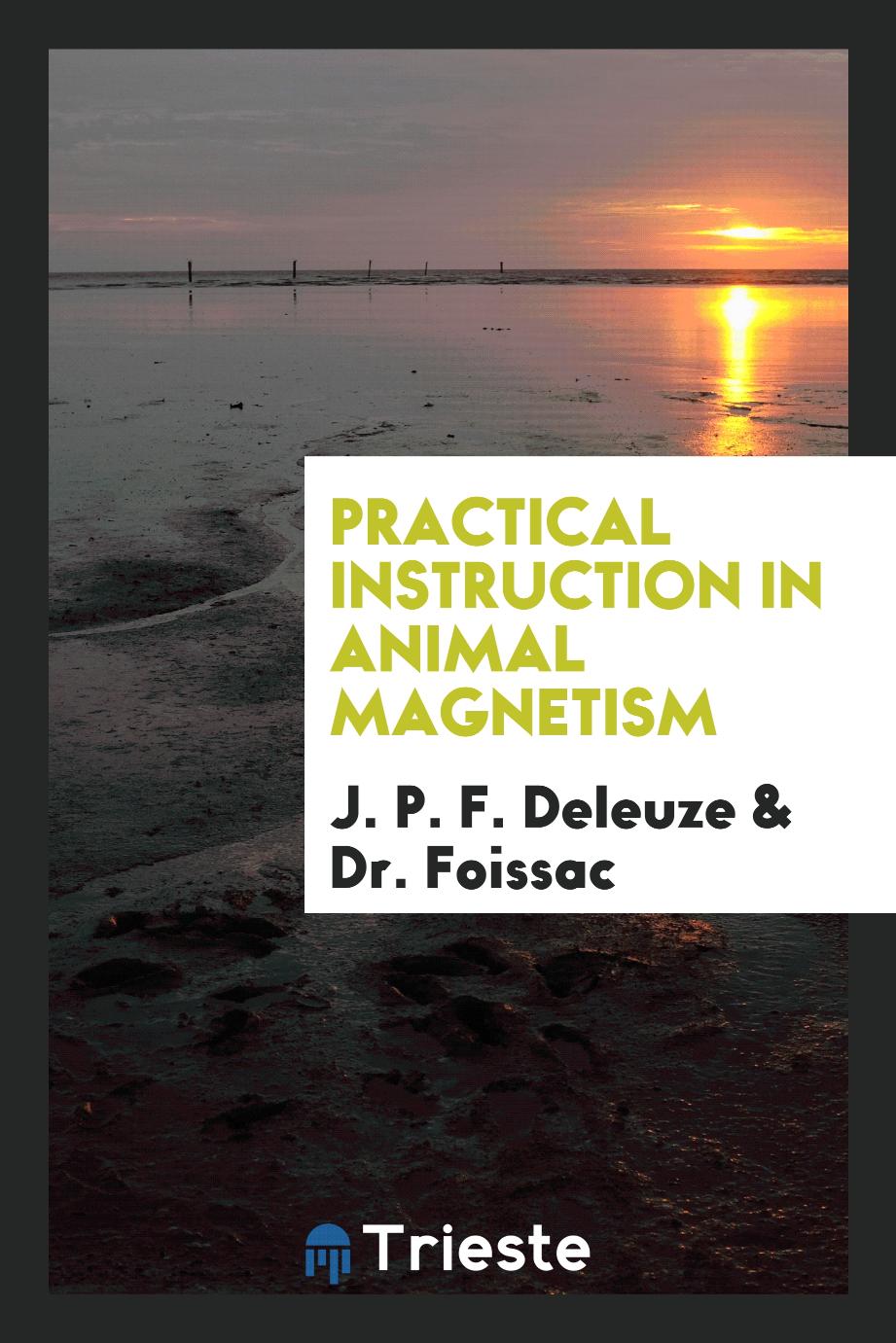 Practical Instruction in Animal Magnetism