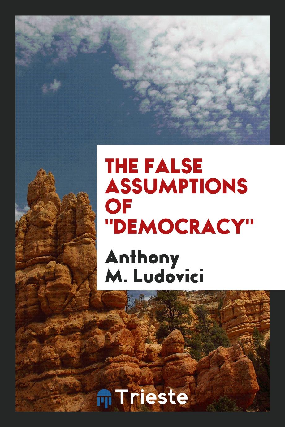 The false assumptions of "democracy"