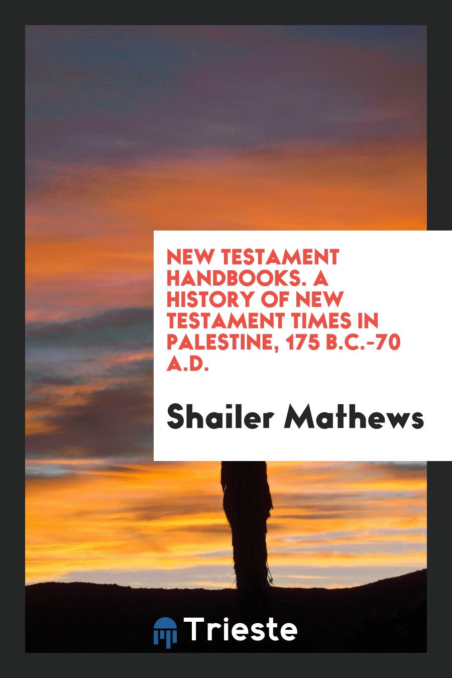 New Testament Handbooks. A History of New Testament Times in Palestine, 175 B.C.-70 A.D.