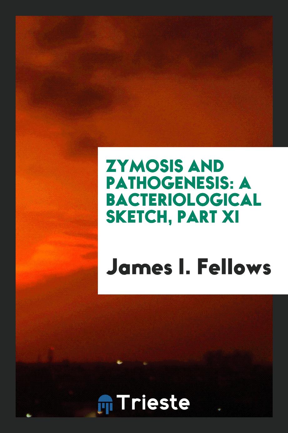 Zymosis and Pathogenesis: A Bacteriological Sketch, Part XI