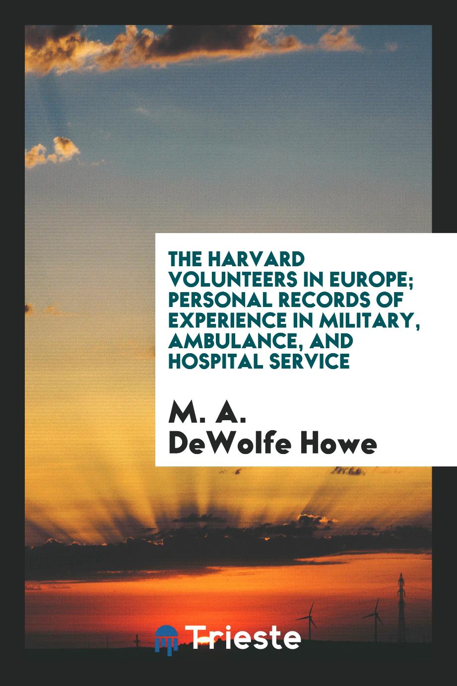 The Harvard volunteers in Europe; personal records of experience in military, ambulance, and hospital service