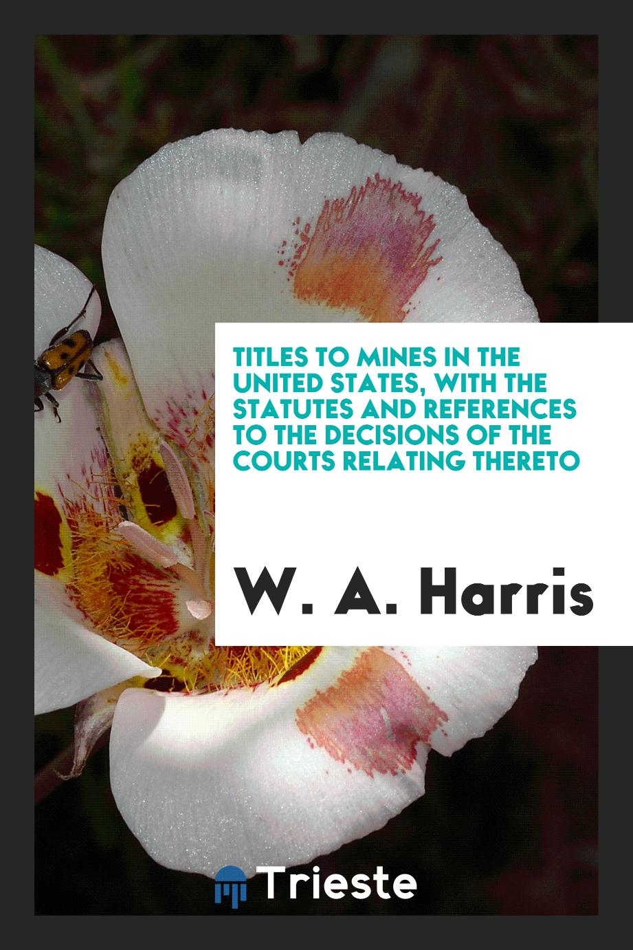 Titles to Mines in the United States, with the Statutes and References to the Decisions of the Courts Relating Thereto