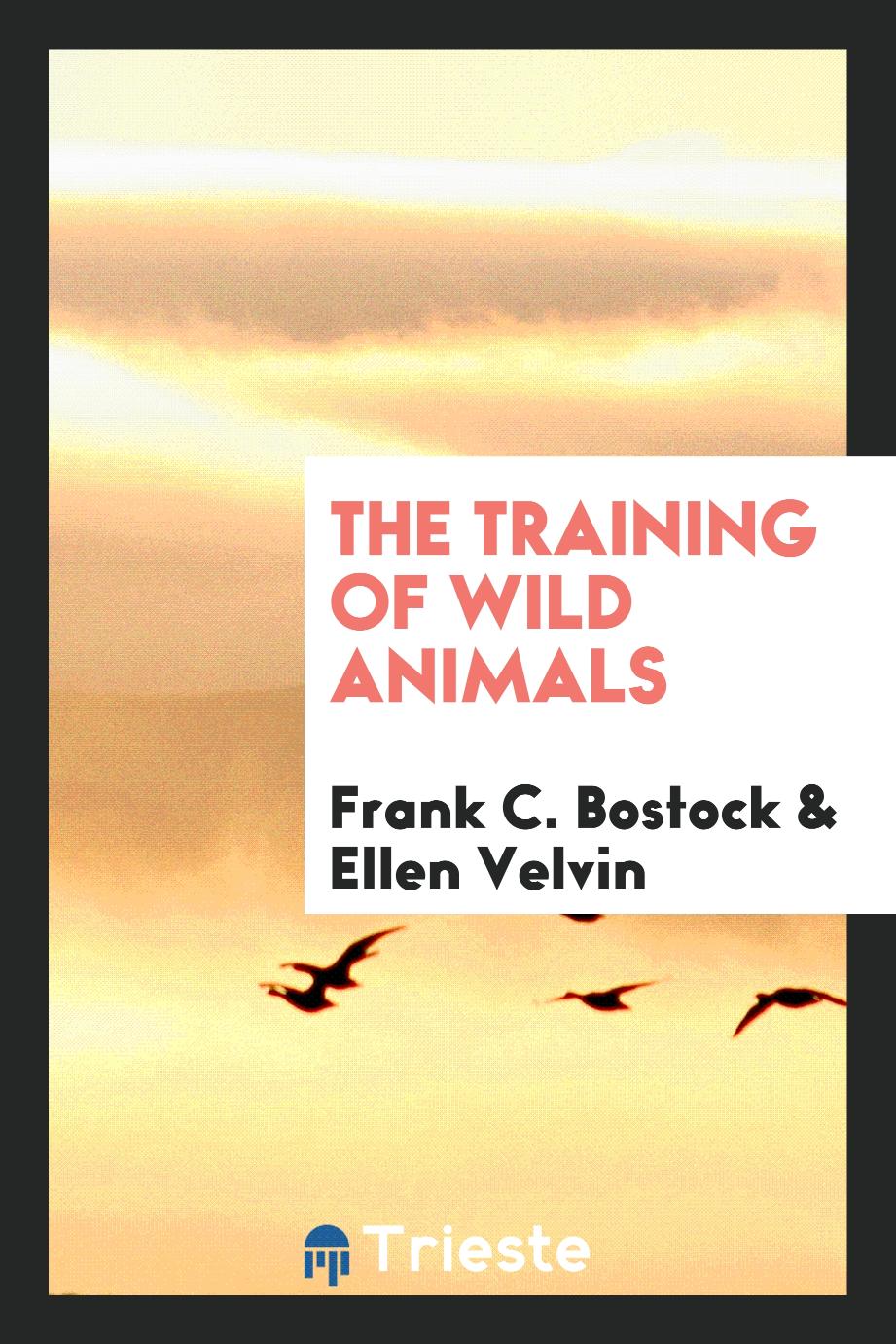 The training of wild animals