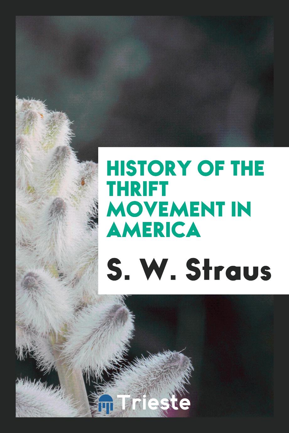 History of the thrift movement in America