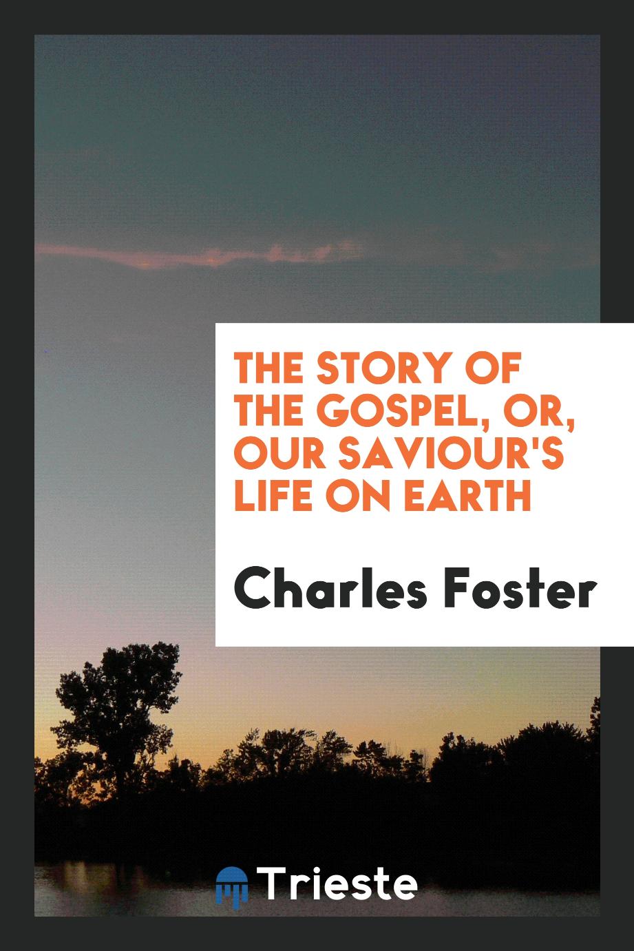 The story of the Gospel, or, Our Saviour's life on earth