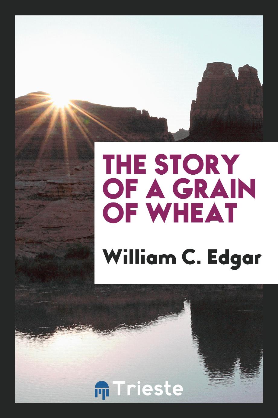 The story of a grain of wheat