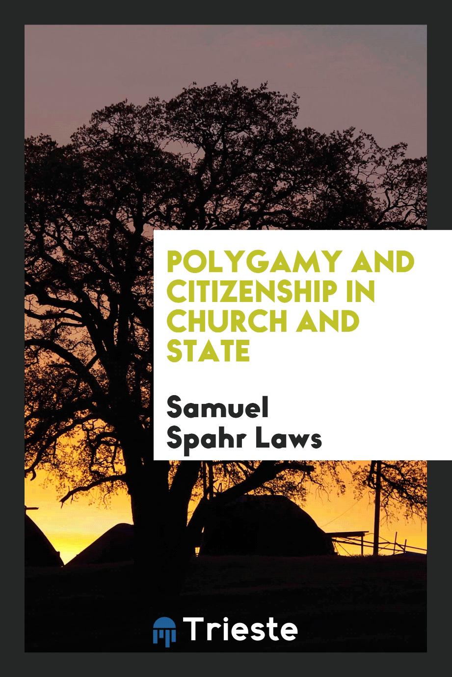 Polygamy and citizenship in church and state