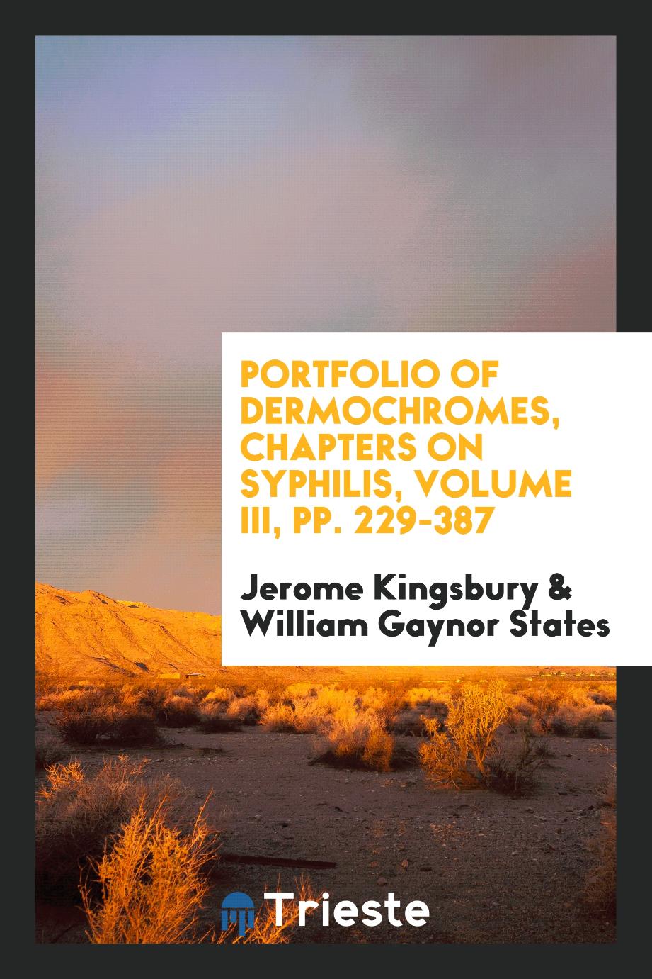 Portfolio of dermochromes, chapters on syphilis, volume III, pp. 229-387